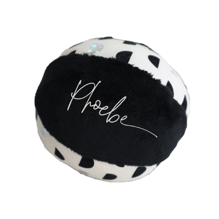 Personalised soft ball with jingle